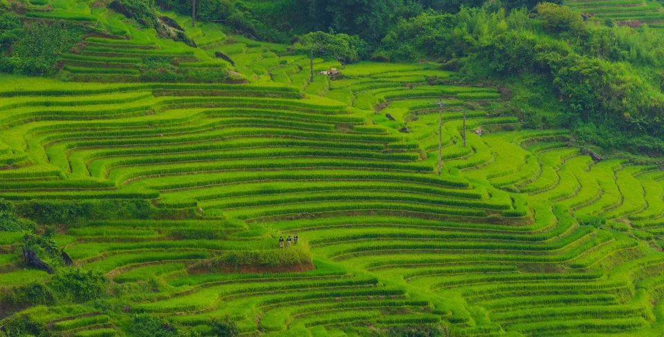 Kho gạo của Đinh Tấn Dũng